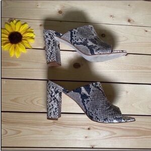 Steve Madden Women's Snakeskin Mules